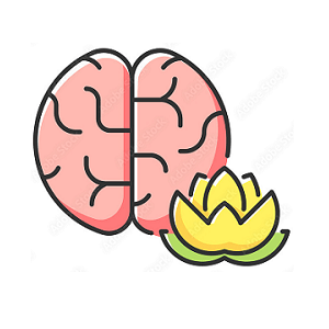 Cognitive Behavioral Therapy
